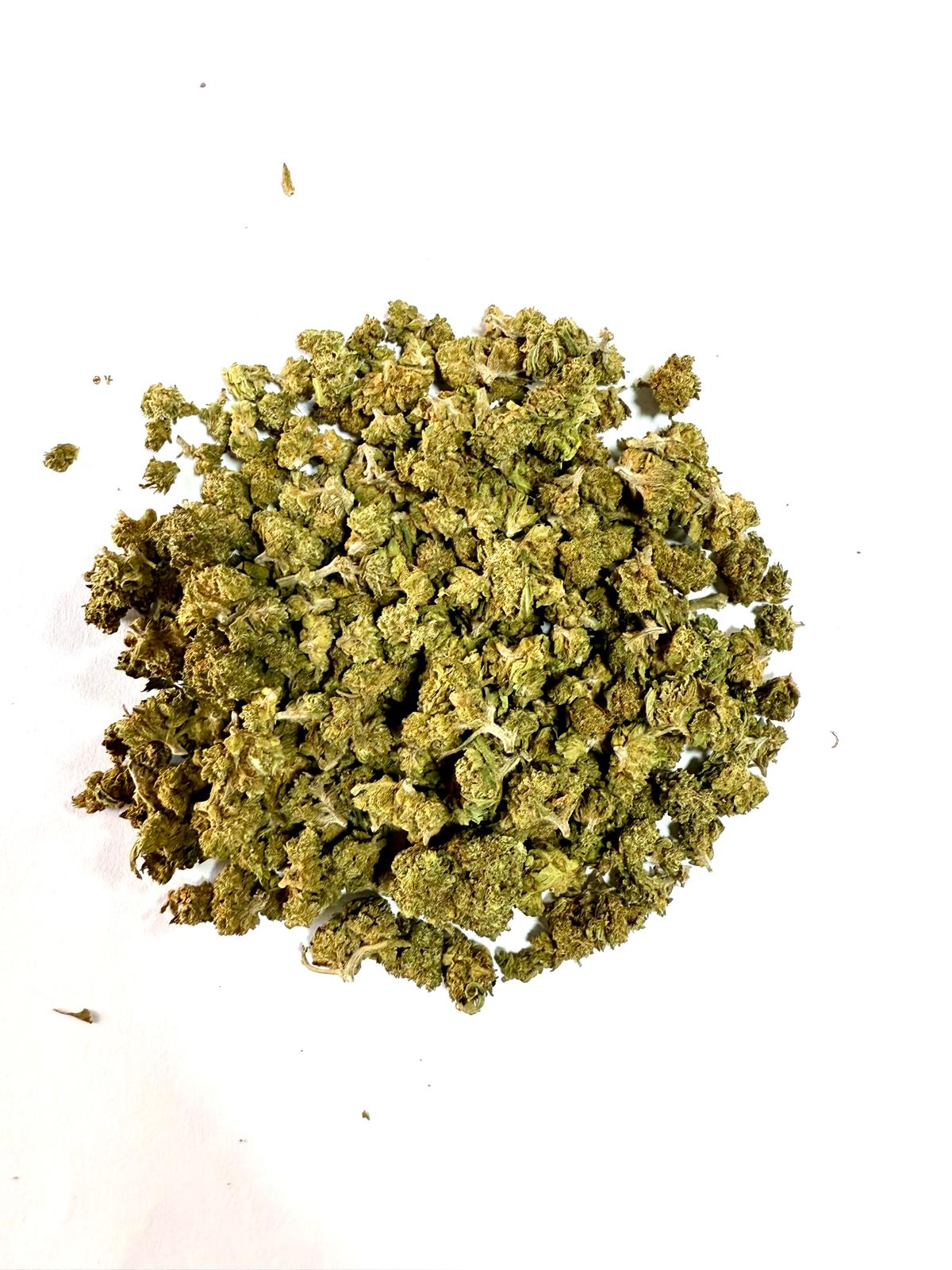 Lemon Small buts indoor