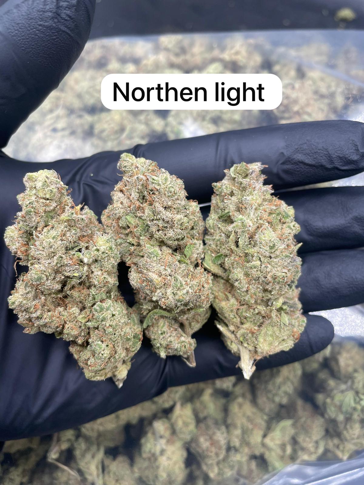Northern Lights Hidro