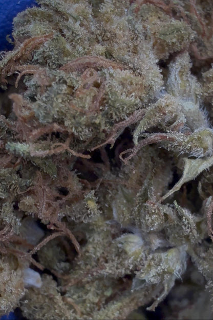 Golden Nuggets