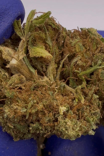 White Melon