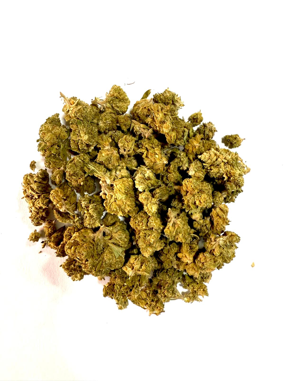 Amnesia Small buts indoor
